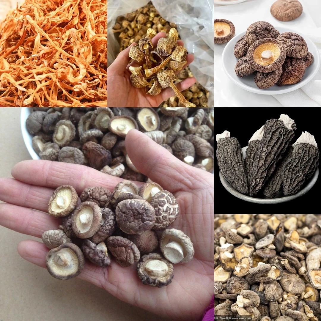 【土特产阿龙专属107】重量20g