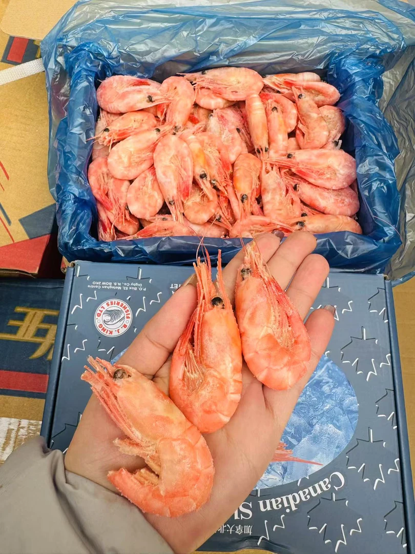 60-80北极虾3斤净