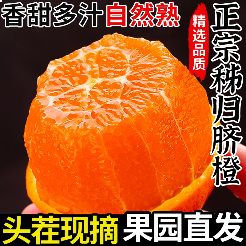 正宗秭归橙子脐橙新鲜现摘产地直发皮薄多汁香甜纽荷尔橙手剥
