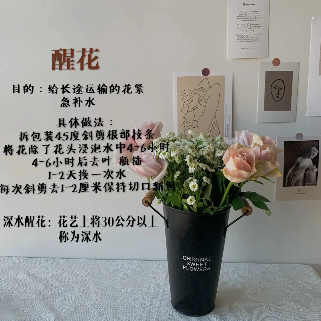 (曼)洋牡丹1扎橙色+1扎黄色含2只防损鲜花任意满2单包邮