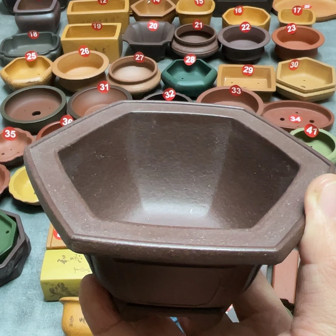 紫砂小盆9*5cmmmmm