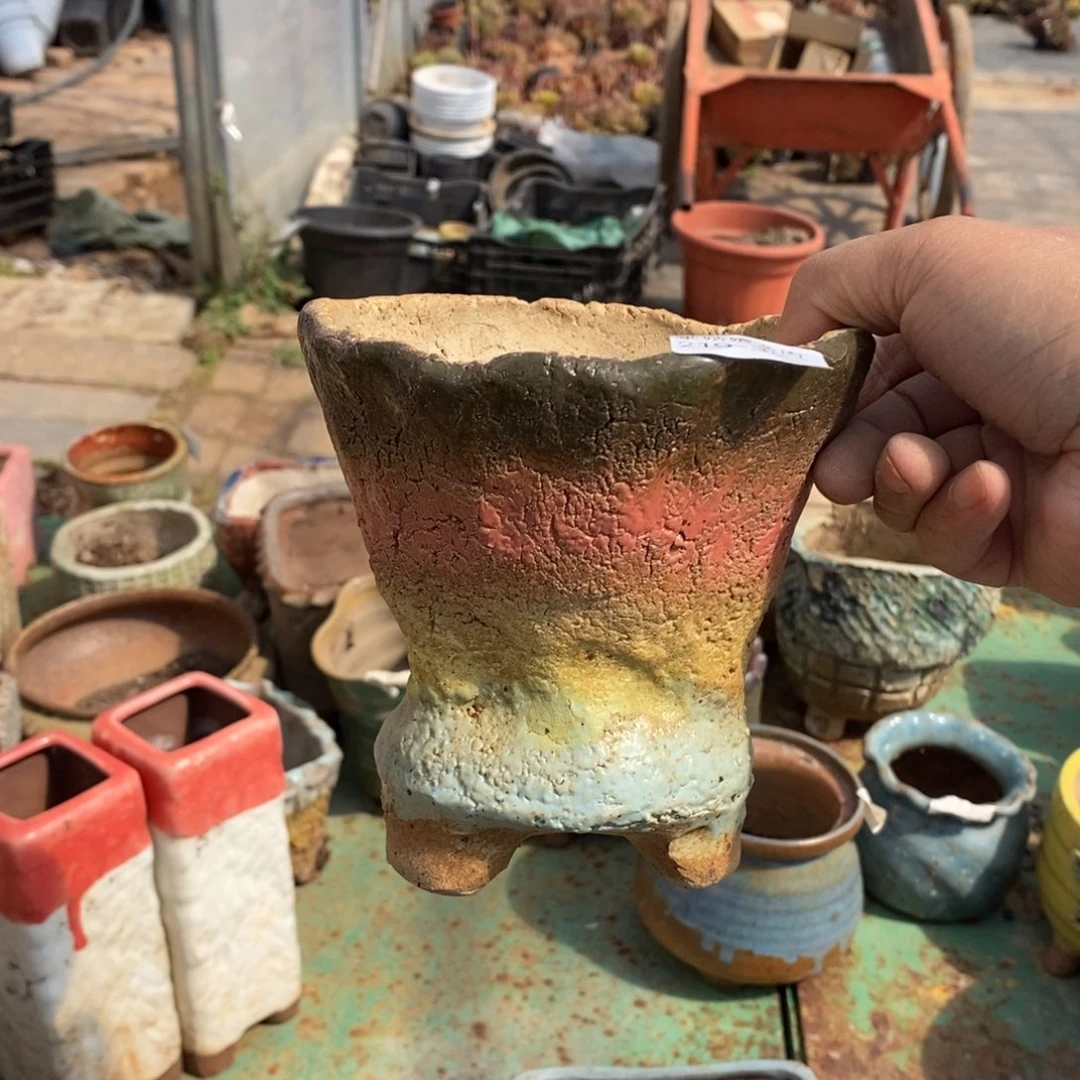 红陶像****笑35号多肉盆一个呀