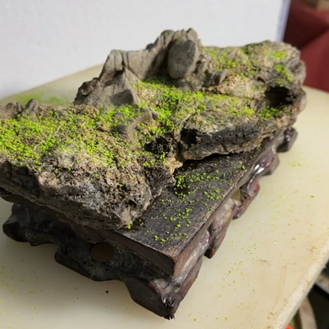 【闪购商品】香榧木严****?你是一种什么样的体验。