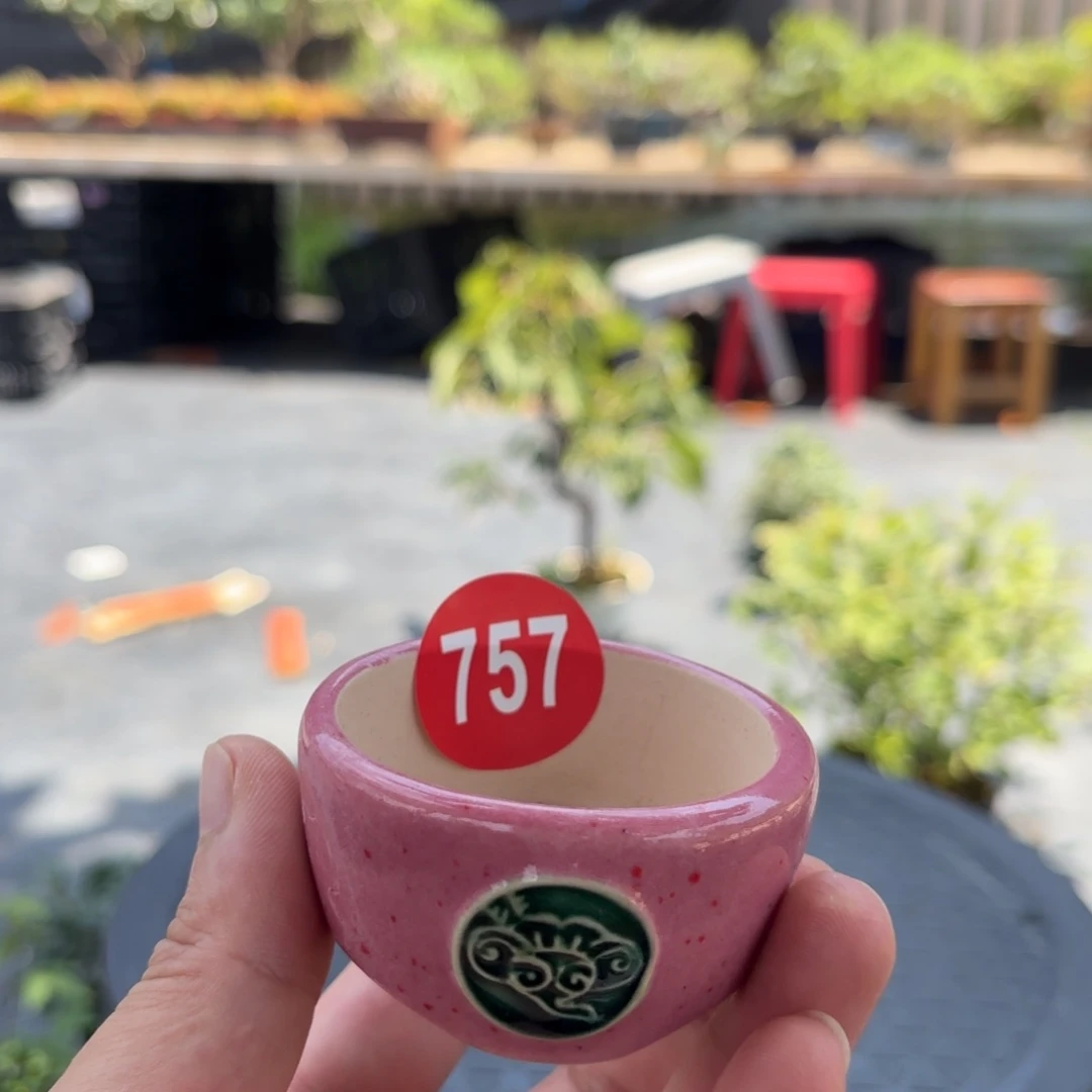 ?***梦马上就要开始放假了757