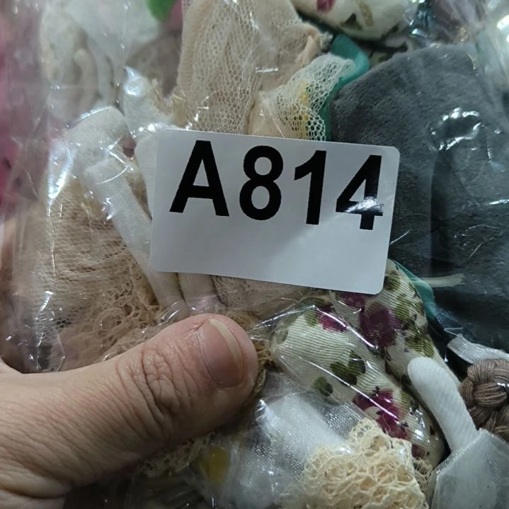 橘***子814%88888888888888888