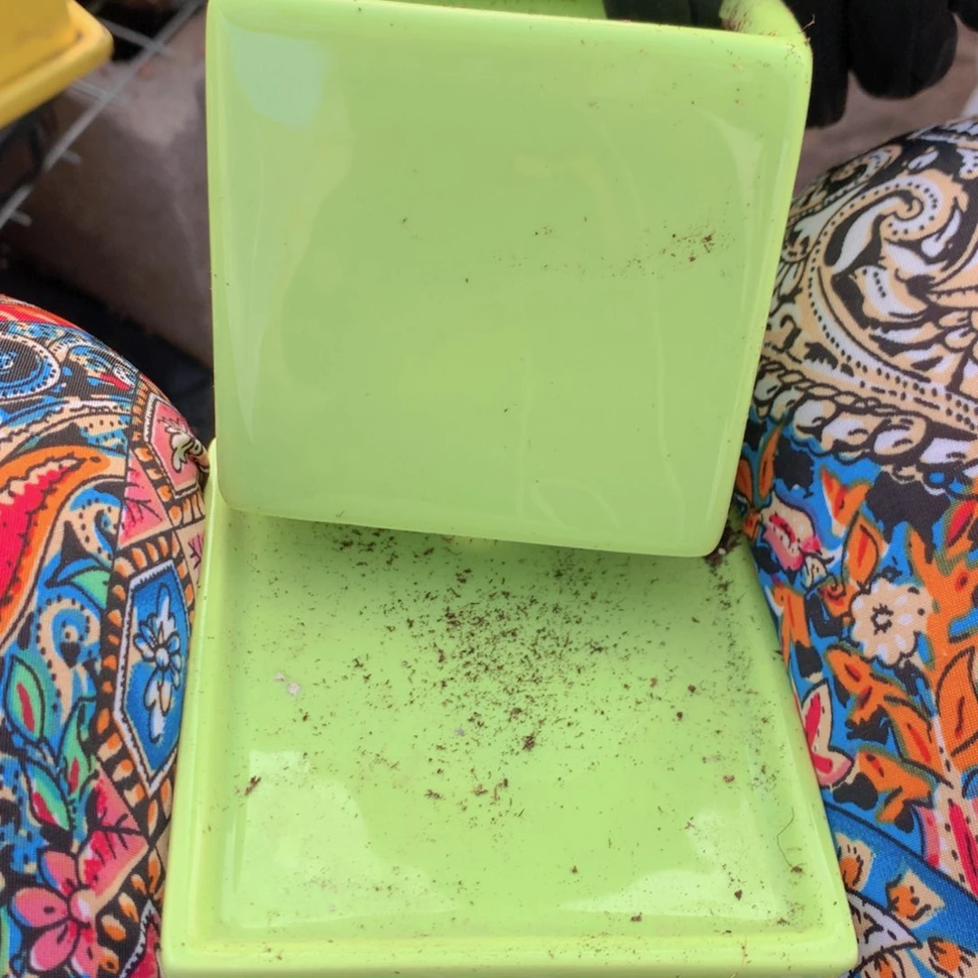 花盆低脱一套包邮