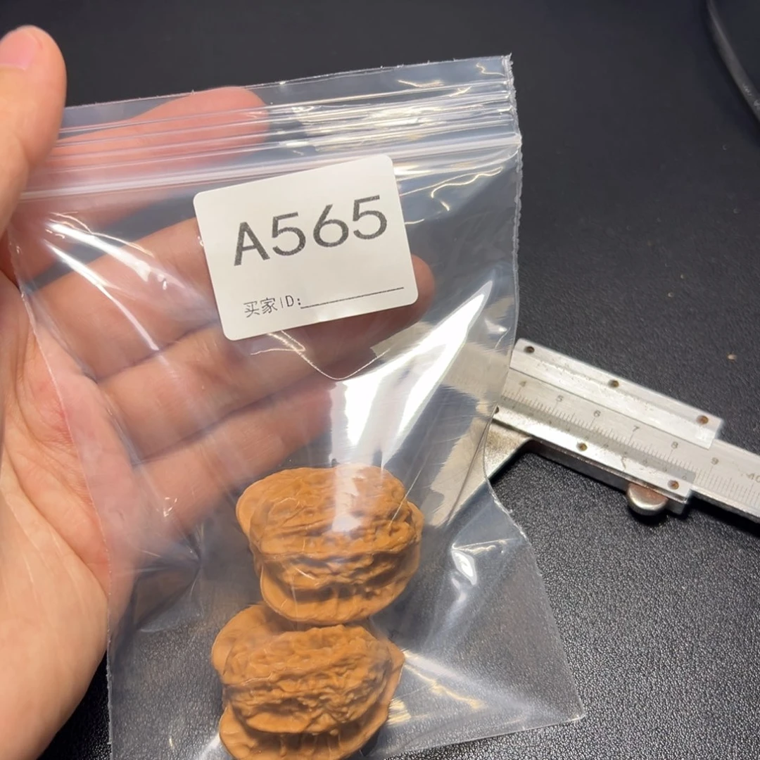 核桃哈哈哈哈我的小