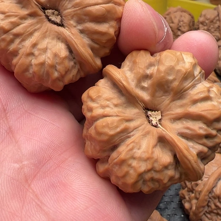 深***蟆核桃文玩网在全国各主要