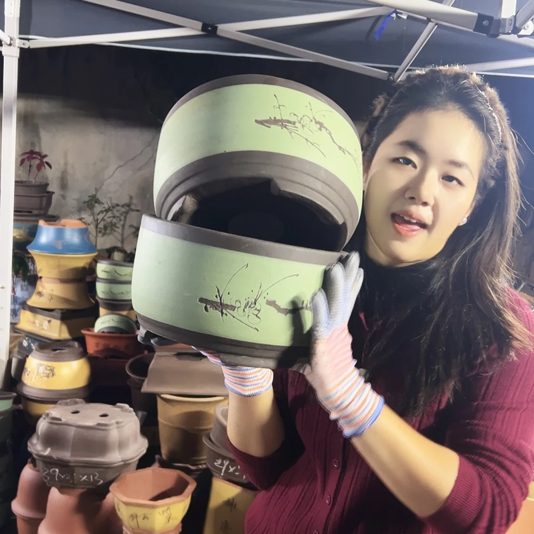 25+25苹果绿萝花盆花盆花盆