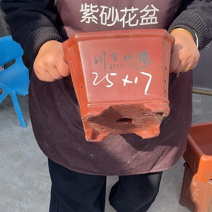 紫砂花盆紫色的小