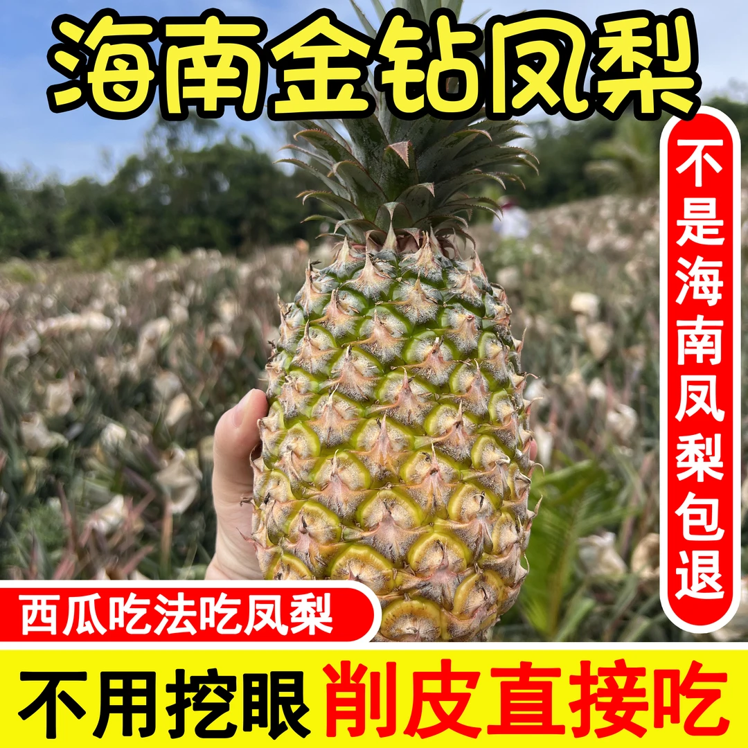 【福利中大果】海南热带水果金钻凤梨自然熟香甜应季现摘现发