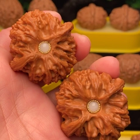 苹果园43全品1111111