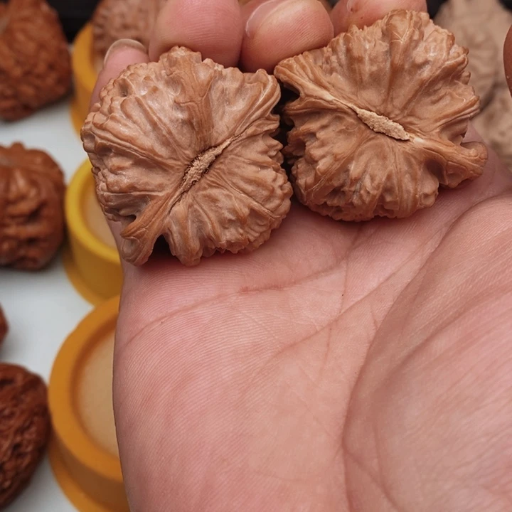 核桃M**G你好吗我好想你啊