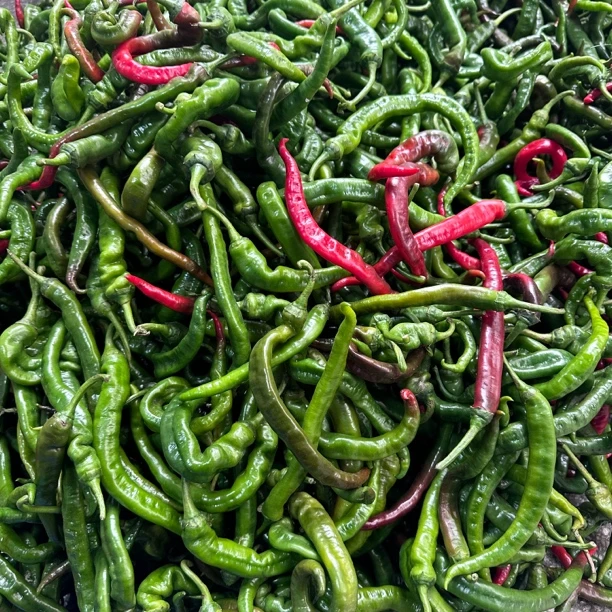 湖南邵阳隆回本地辣椒皮薄皮软螺纹椒螺丝椒青辣椒农家肥自种辣椒
