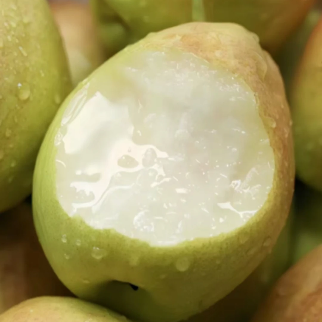 【蓝鲸好物】新疆库尔勒梨约二斤