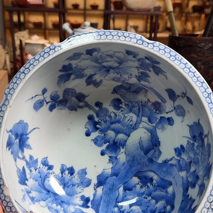 睡莲啊啊啊啊啊啊啊啊
