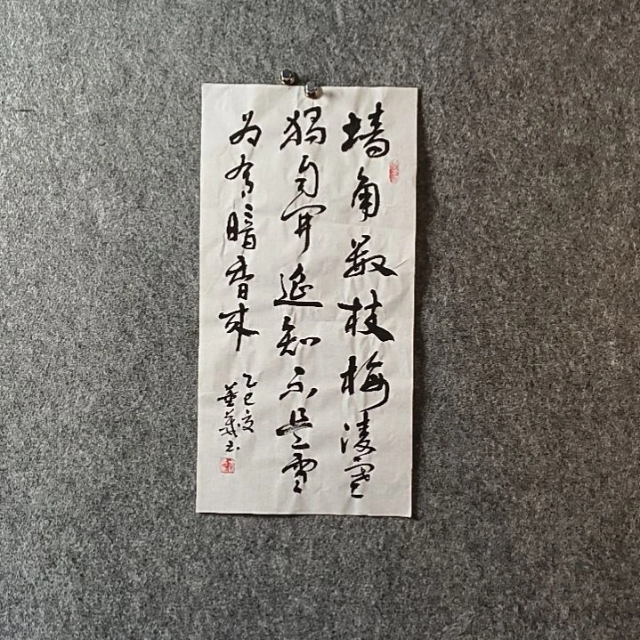 书法董老师墙角数枝梅