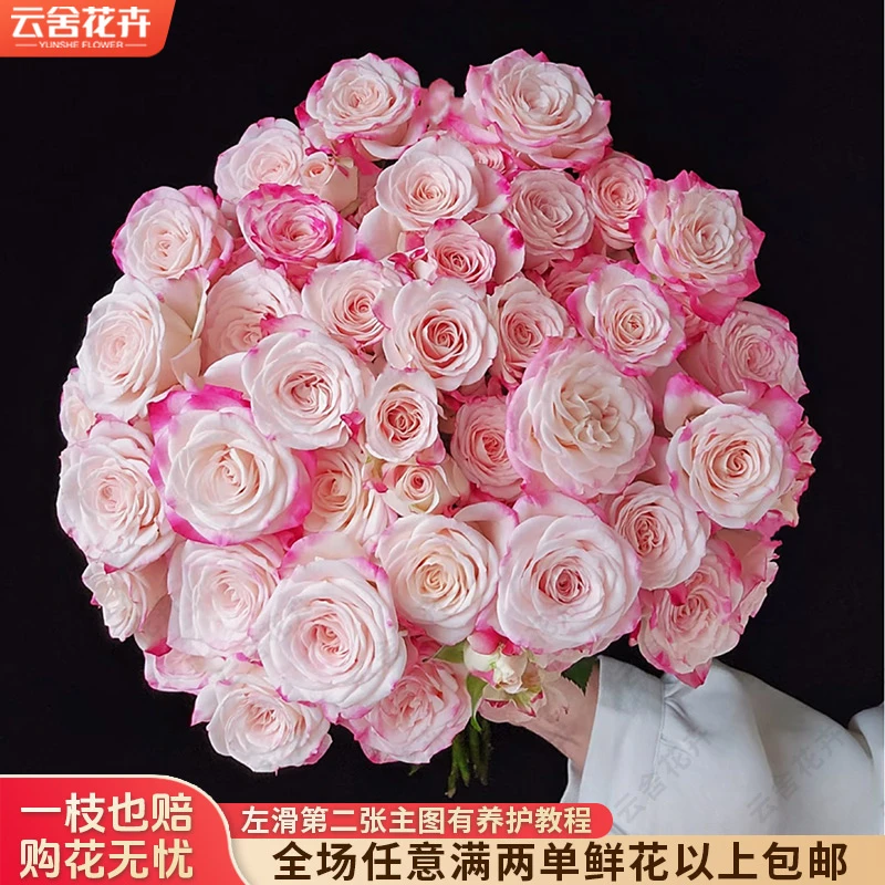 【云舍花卉】【折射】多头玫瑰全场鲜花满2单及以上鲜花包邮