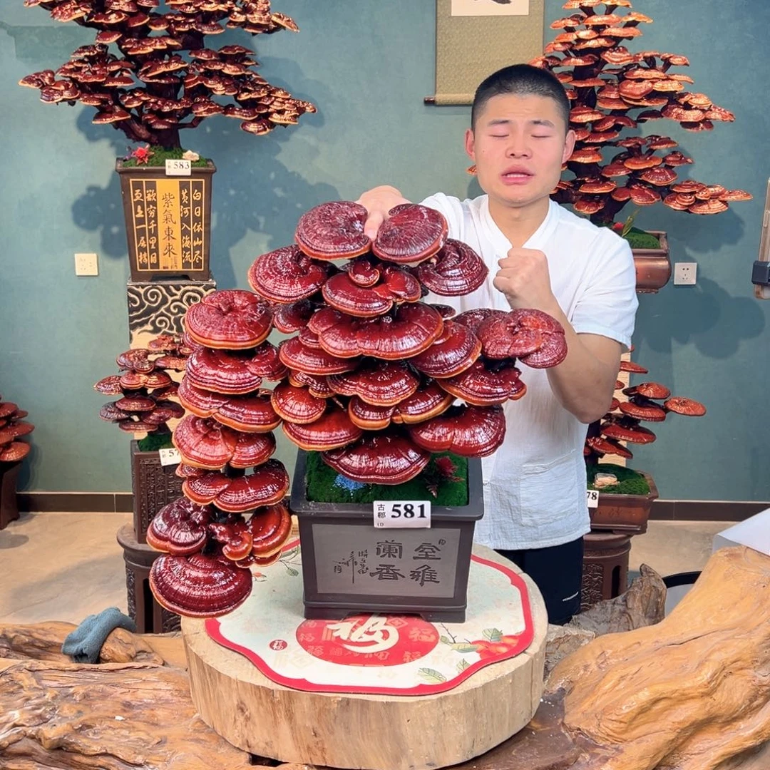 无花朵88888888888