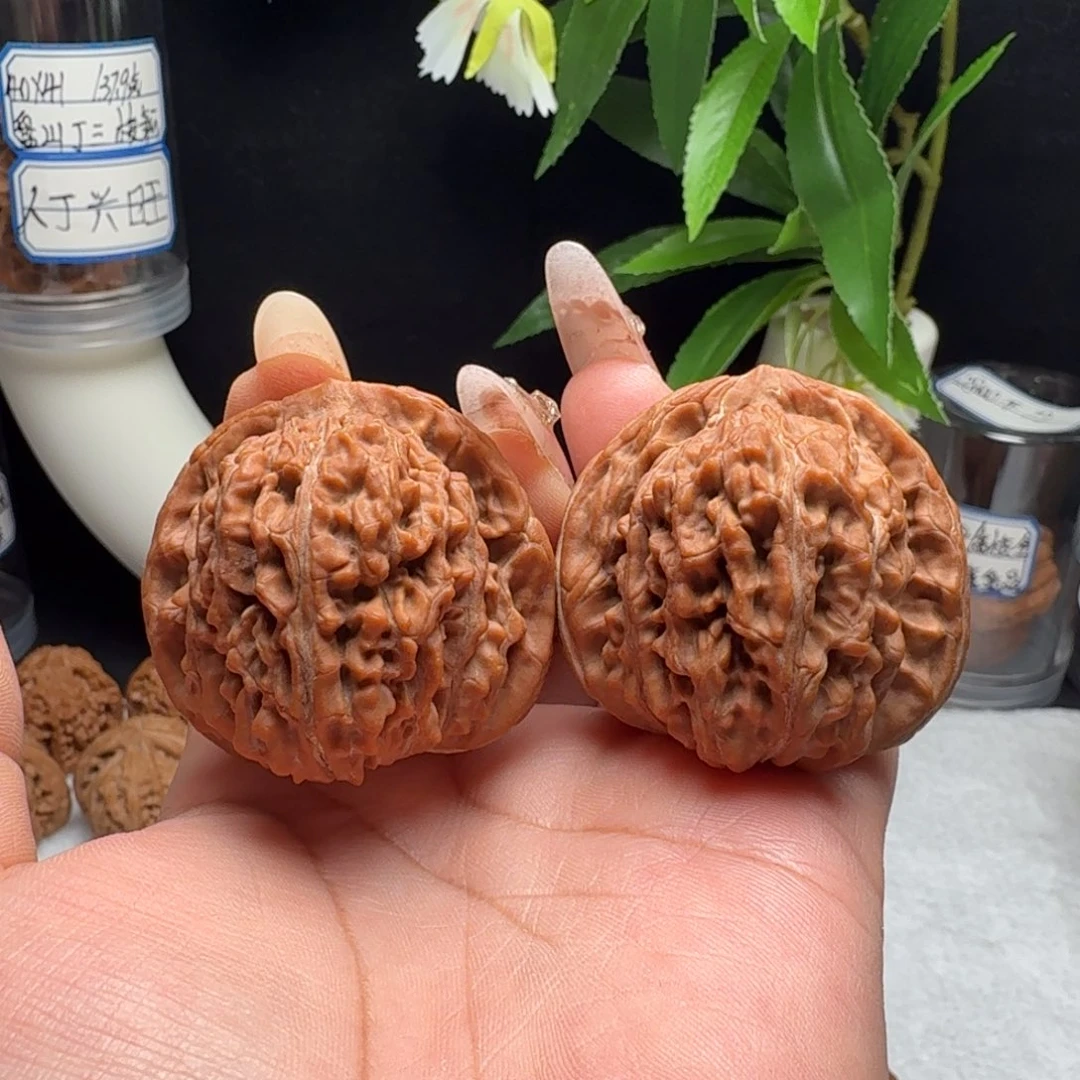 文玩核桃把件全品蓟县楼红皮果43