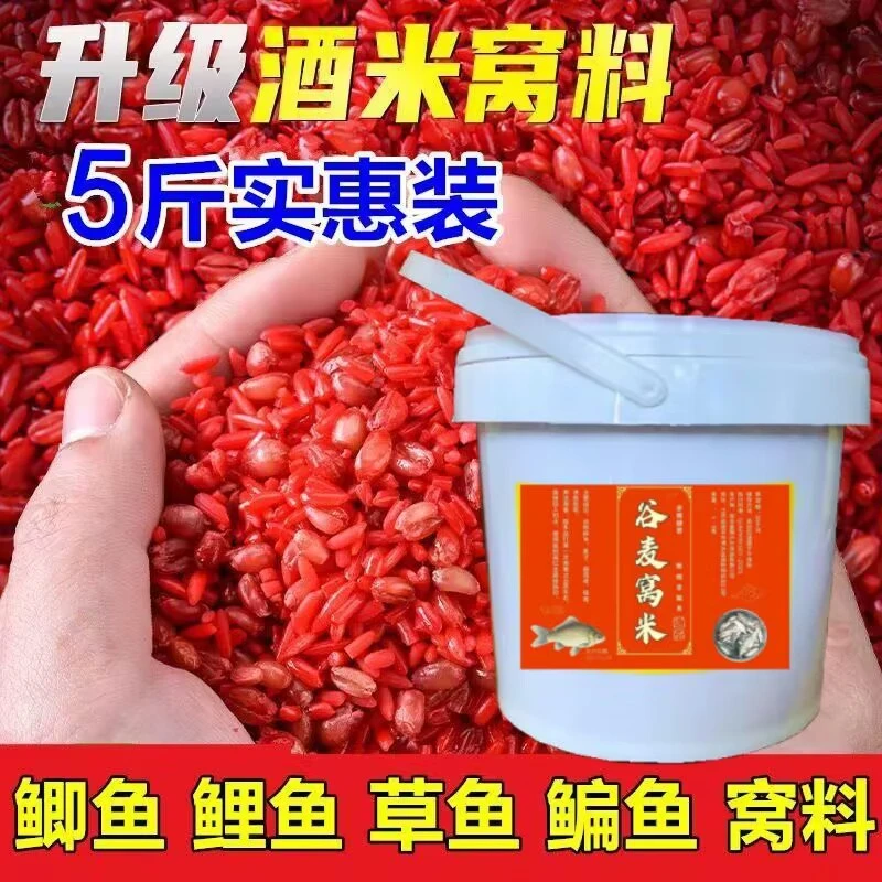 经典鲫鱼老坛谷麦酒米打窝料酒米颗粒草窝钓鲤鱼食