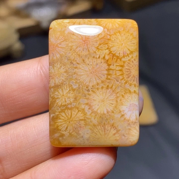 【闪购商品】未镶嵌珊瑚玉硅化玉