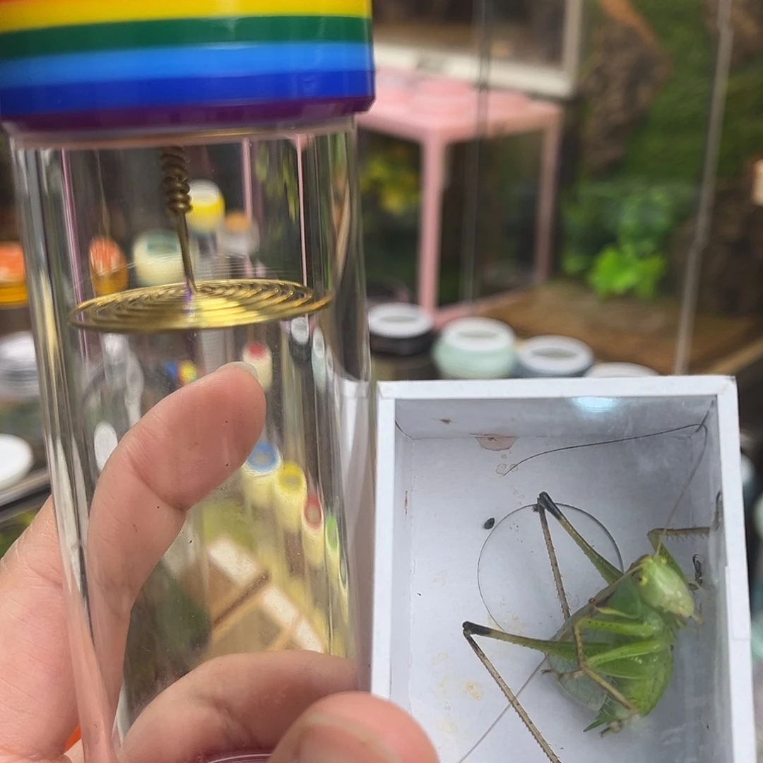 扎嘴桶➕扎嘴哈哈哈