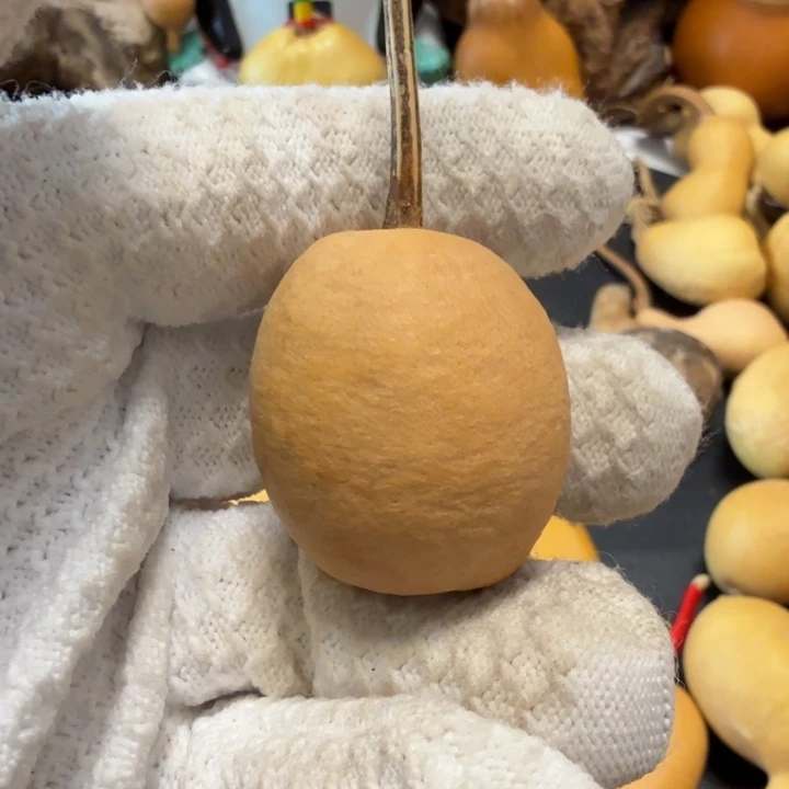 阿***粉77777778888999999000