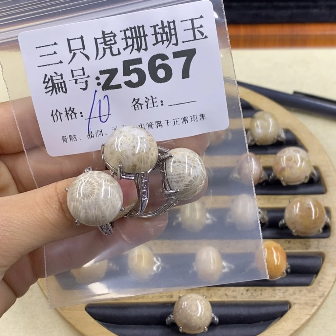 硅化珊瑚（珊瑚玉）1未镶嵌小**剧