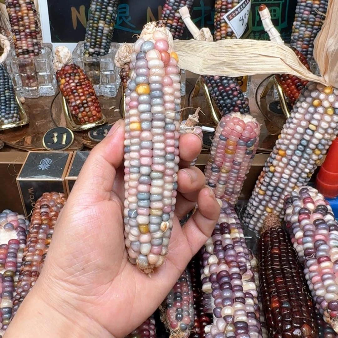 柏香籽/百香籽吊坠四*