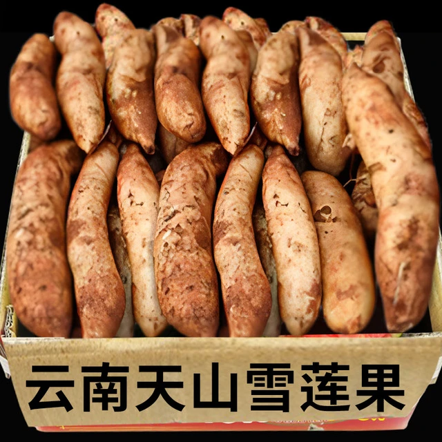 天山雪莲果云南新鲜现挖雪连果黄心超甜地参果当季生吃雪莲薯9斤