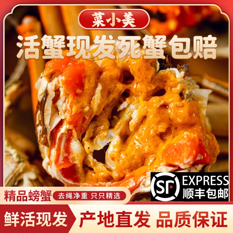 【活蟹】3.5两母蟹10只 江苏精品大闸蟹 顺丰包邮现捞活蟹现发