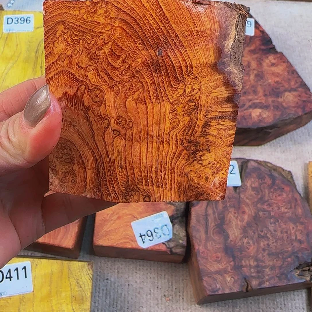 木半**雨小叶羊蹄甲瘤疤小料