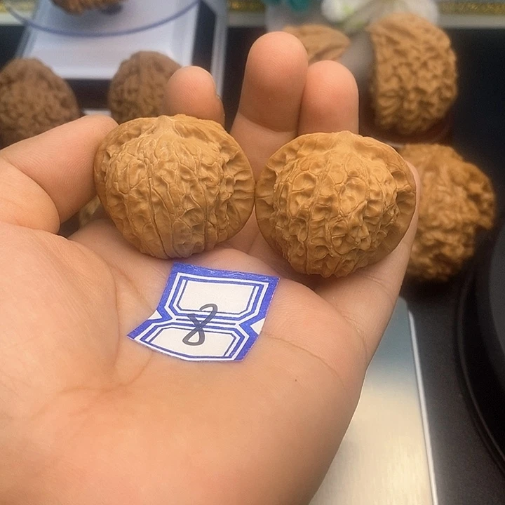 把件文玩核桃36血麒麟
