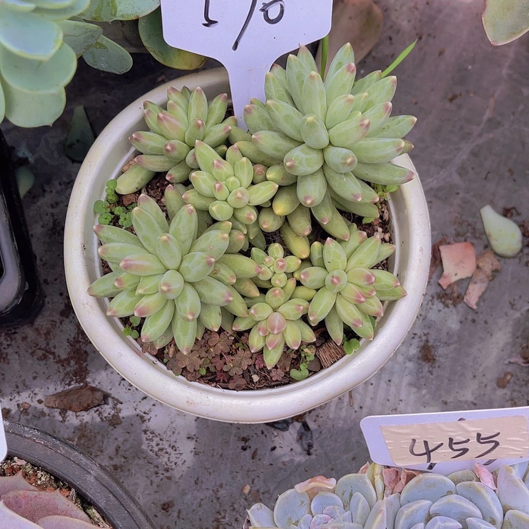 云***0000000000000000570