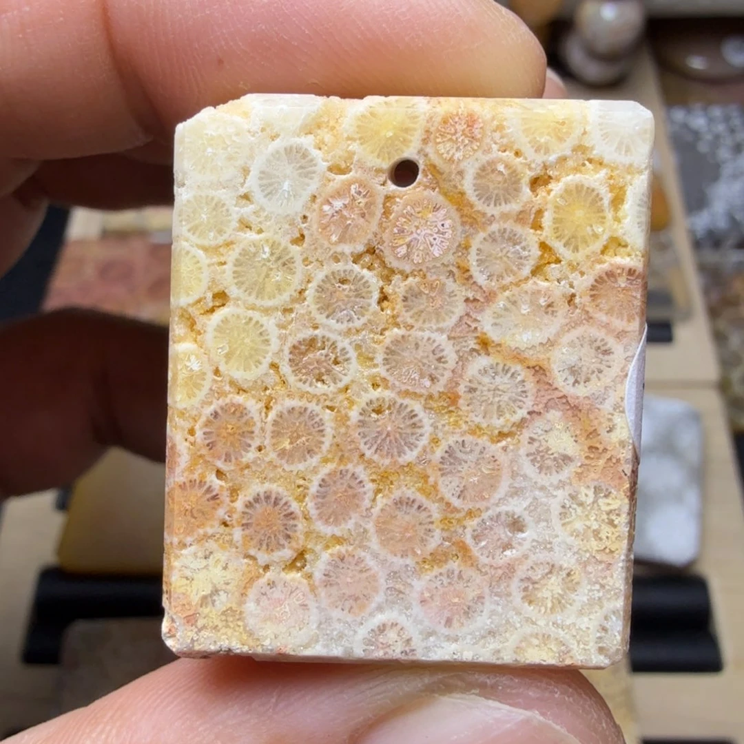 硅化玉未镶嵌纯天然色有机玉石保真色骨骼花