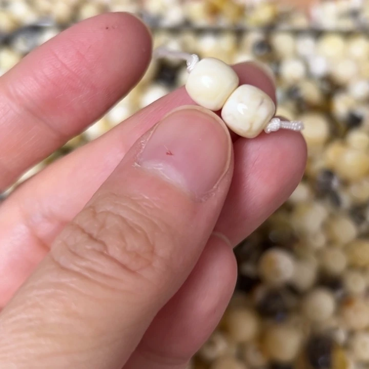 蜜蜡未镶嵌裸石7.5mm一对