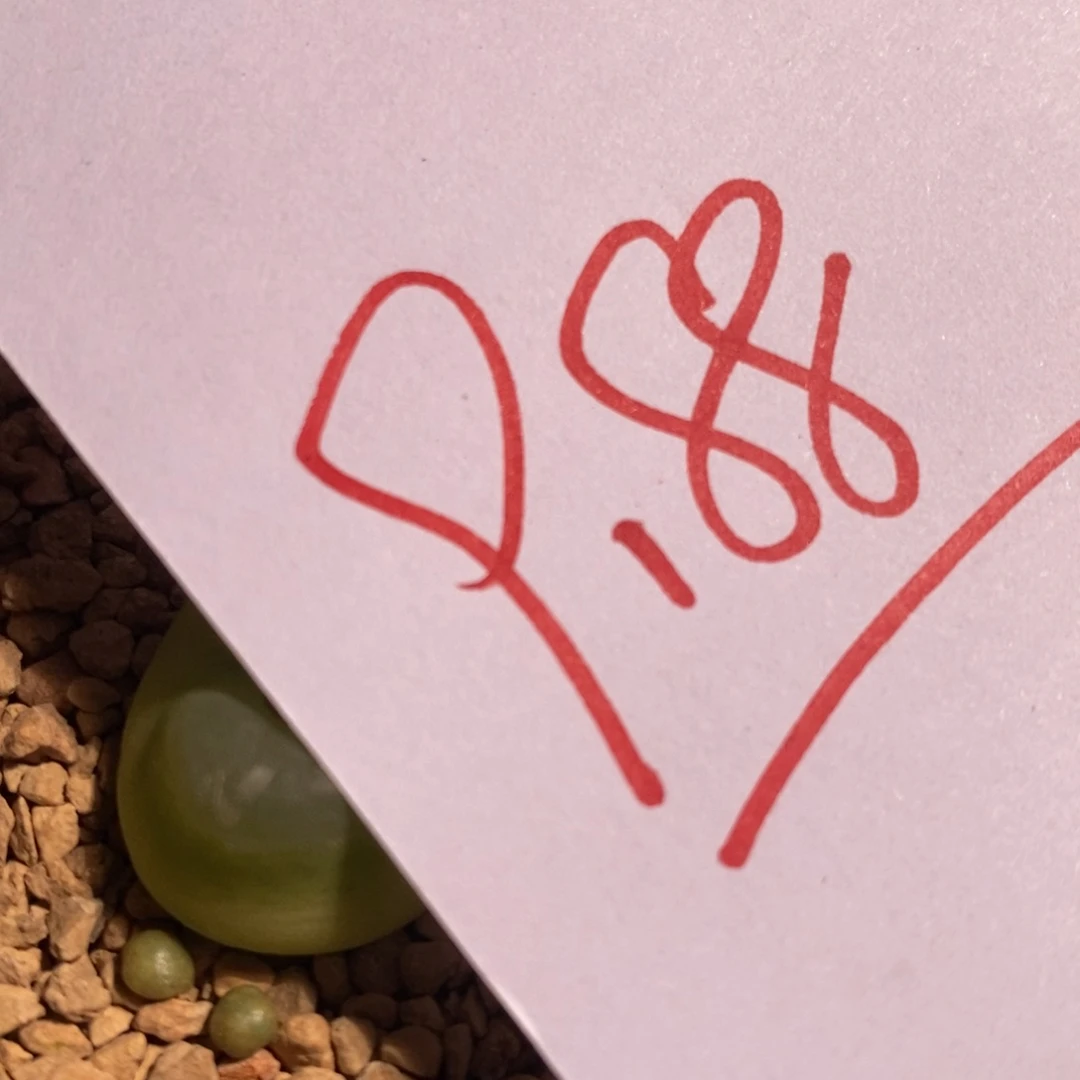 认****改9188一个一个一个