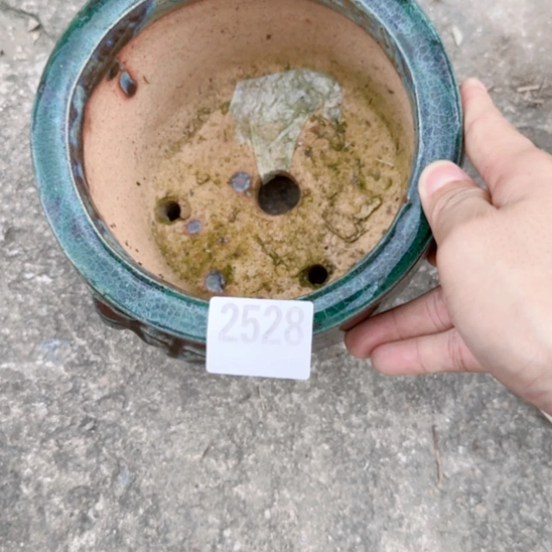【闪购商品】陶瓷耀2528