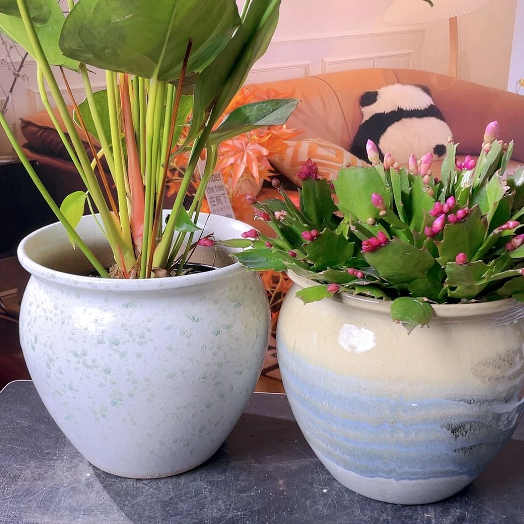 红陶粗陶大花盆两个装