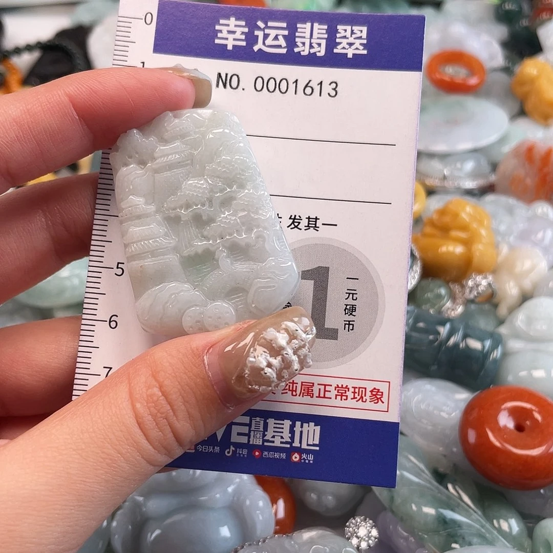 翡翠未镶嵌颈饰1613