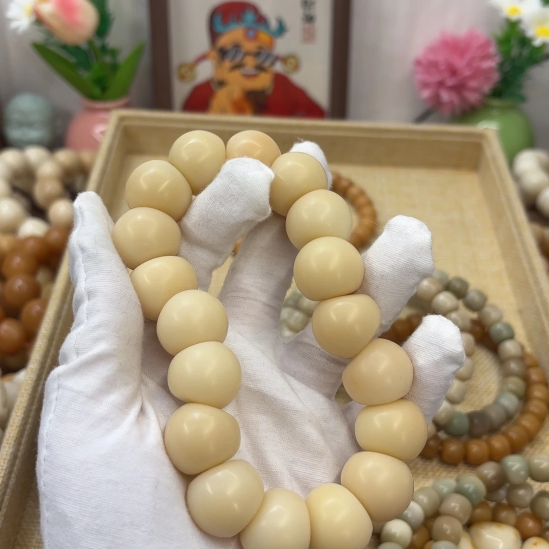 吊坠菩提根/象牙果20干磨瑕疵落地果肠801