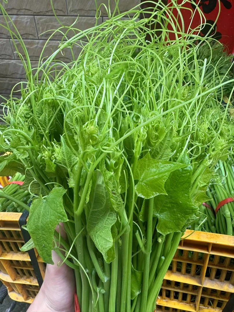 【顺丰包邮】肇庆广宁江屯潭布龙须菜 脆嫩爽口 炒上汤