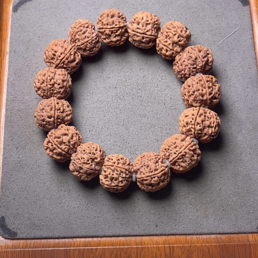菩提25号金刚菩提原生态六瓣22+