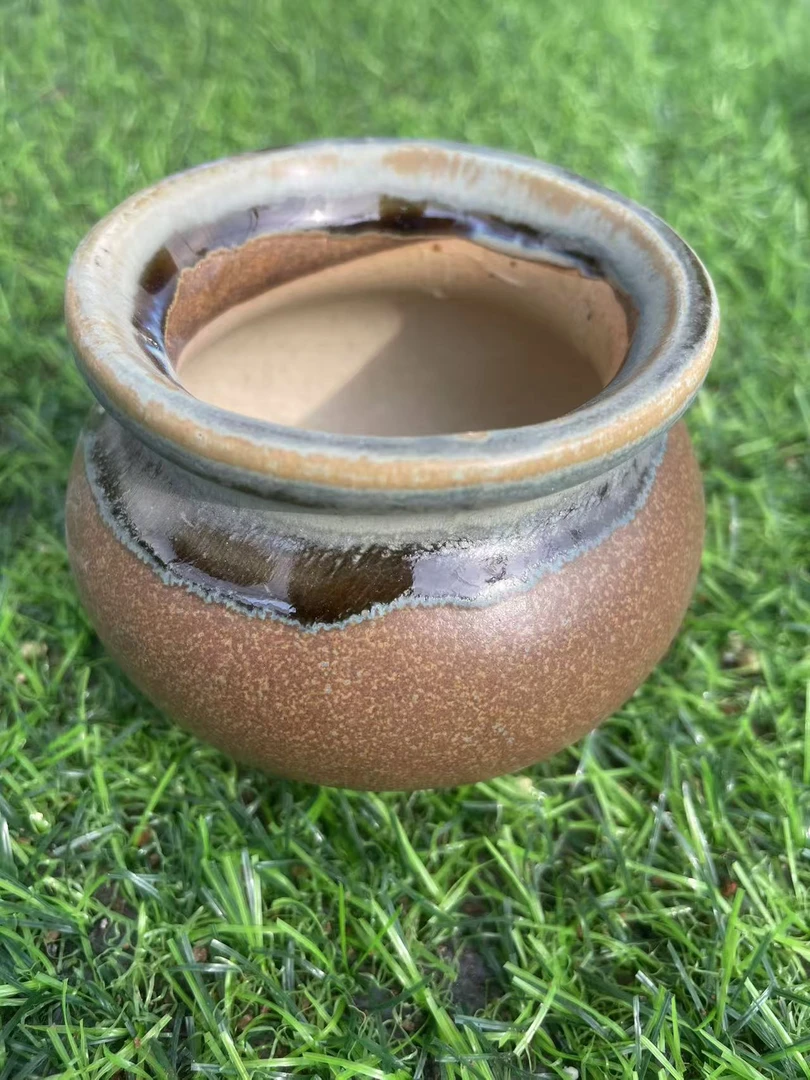 老四的后花园，三色小美盆