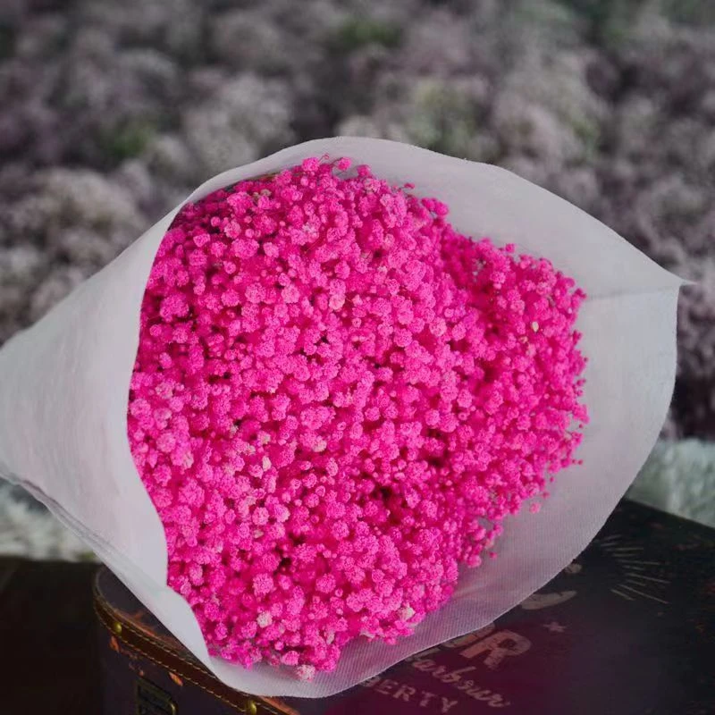 A级云南永生满天星花店花材DIY材料工厂直发吸色均匀花头饱满