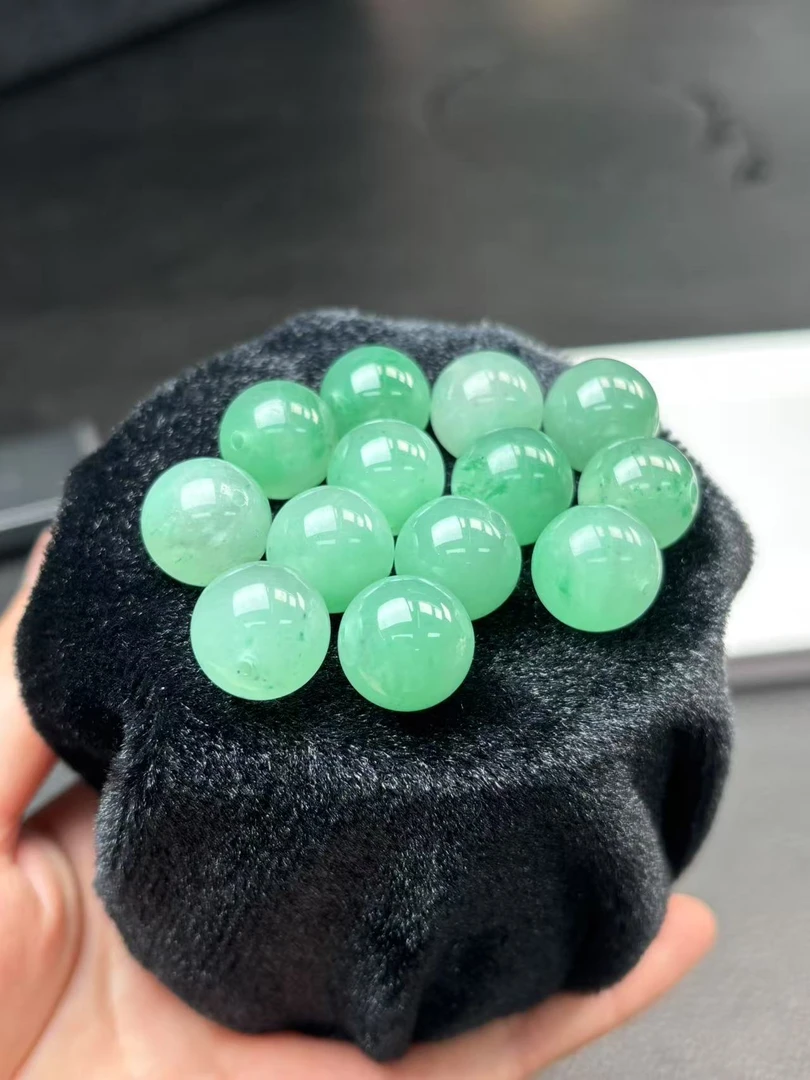 非洲翠冰阳绿珠子 多样性发1