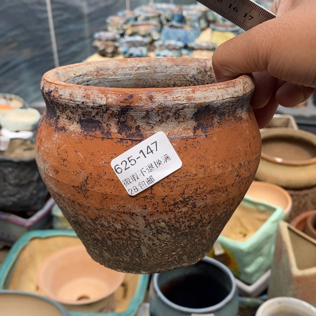 147号多肉盆口径10