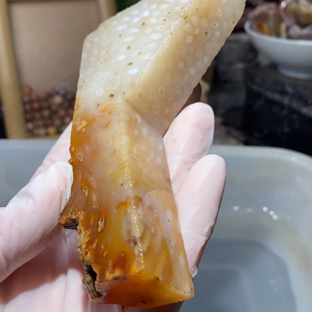【闪购商品】硅化玉珊瑚玉未镶嵌