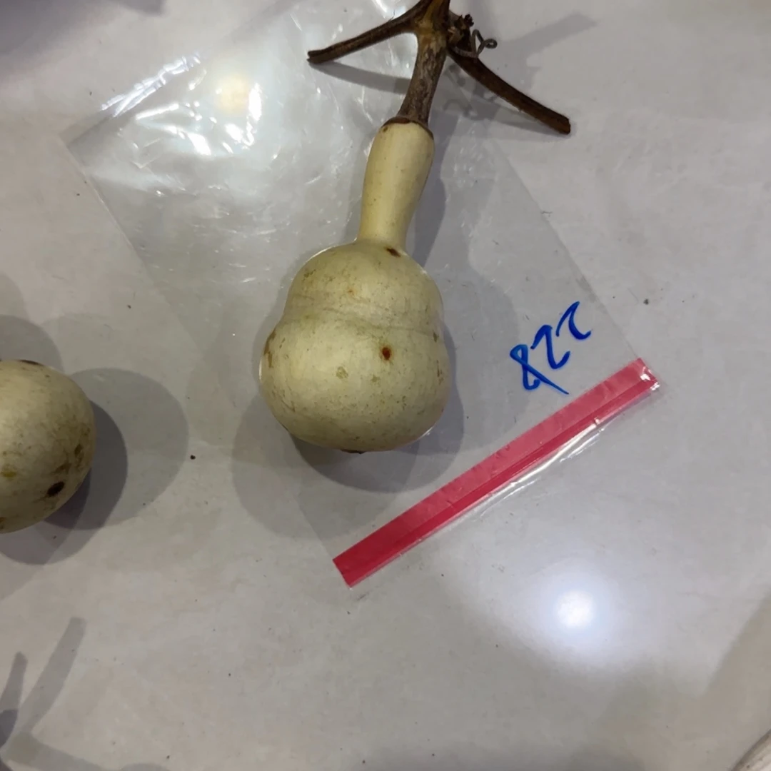 牛***漫青皮不包成，，，，，，，，，，